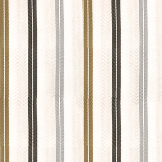 CI Desert Sands – Benjamin