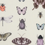 Heather-Ivory-Papilio_F1093_03_CAC