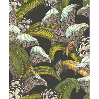 Admore Jabula - Hoopoe Leaves