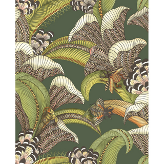 Admore Jabula - Hoopoe Leaves