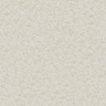 Ivory-SCOUT_91J9531-01