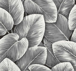 Savannah Grass -Lush Leaf