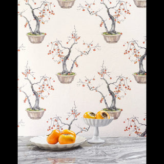 Kaki Persimmon