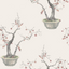 Kaki-Persimmon-126_2004_CS-Silver