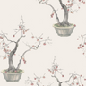 Kaki-Persimmon-126_2004_CS-Silver