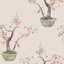 Kaki-Persimmon-126_2005_CS-Violet