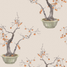 Kaki-Persimmon-126_2005_CS-Violet