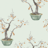 Kaki-Persimmon-126_2006_CS-Jade-Green