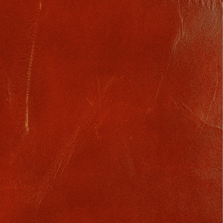 Design L- Adobe