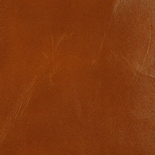 Design L- Adobe