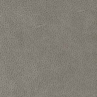 Design L-Bison