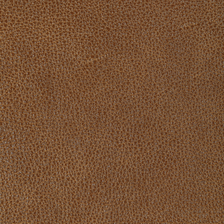Design L-Bison