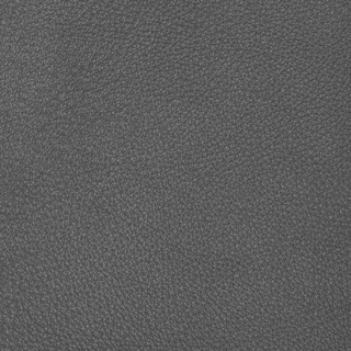 Design L-Conchas