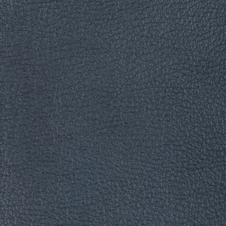 Design L-Desert