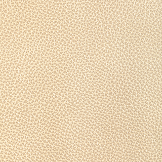 Design L-Dixie