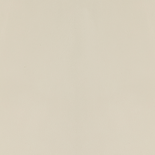 Design L-Fender