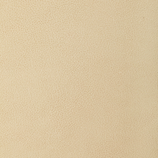 Design L-Loma