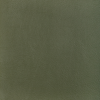 Design L-Ocotillo
