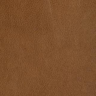 Design L-Rein