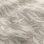 Latte-0018141_hydra-0289
