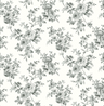 Licorice-VI81700