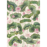 Lily-Lotus-126_9031_CS-Pink