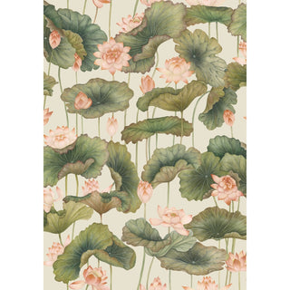 Lily Lotus
