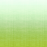 Lime-Green-9230_74WS131