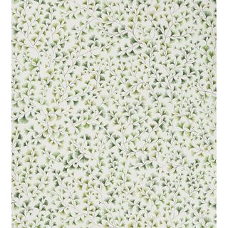 Botanical Botanica – Maidenhair
