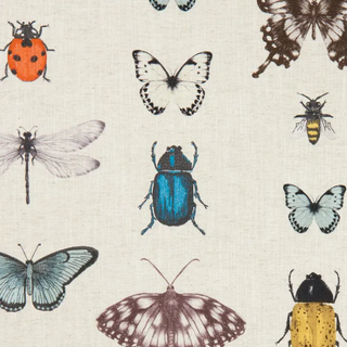 Botanica – Papilio