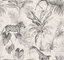 Monochrome-gl20608-Ikoma