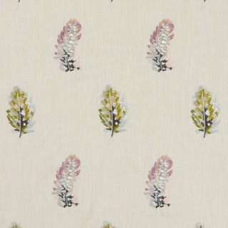 Botanica – Plumis