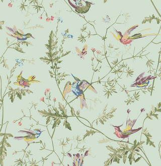 Selections of Hummingbirds - Hummingbirds