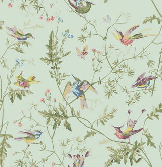Selections of Hummingbirds - Hummingbirds