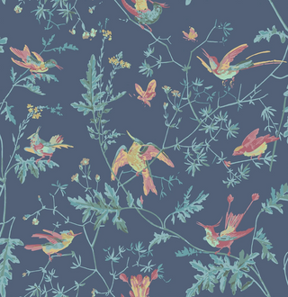 Selections of Hummingbirds - Hummingbirds