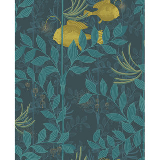 Whimsical - Nautilus