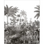 Noir-et-Blanc-Fantastic-Forest-143890