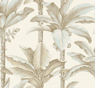Savannah Grass -Breeza