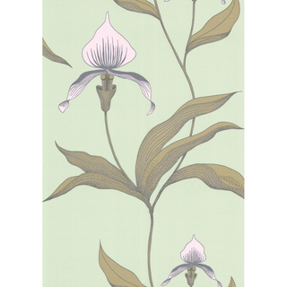 Contemporary Restyled - Orchid