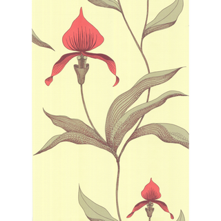 Contemporary Restyled - Orchid