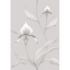 Orchid_10055_CS