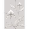 Orchid_10055_CS