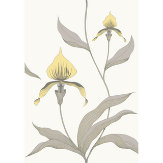 Contemporary Restyled - Orchid