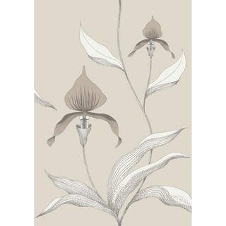 Contemporary Restyled - Orchid