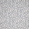 PASSPORT_66J9211-Blue-White
