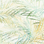 Palm-0014490_bahama-968
