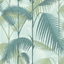 Palm_Jungle_1001CS0_SQ