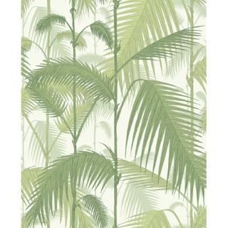 Icon – Palm Jungle