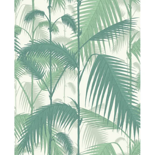 Icon – Palm Jungle