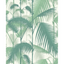 Palm_Jungle_1002_CS